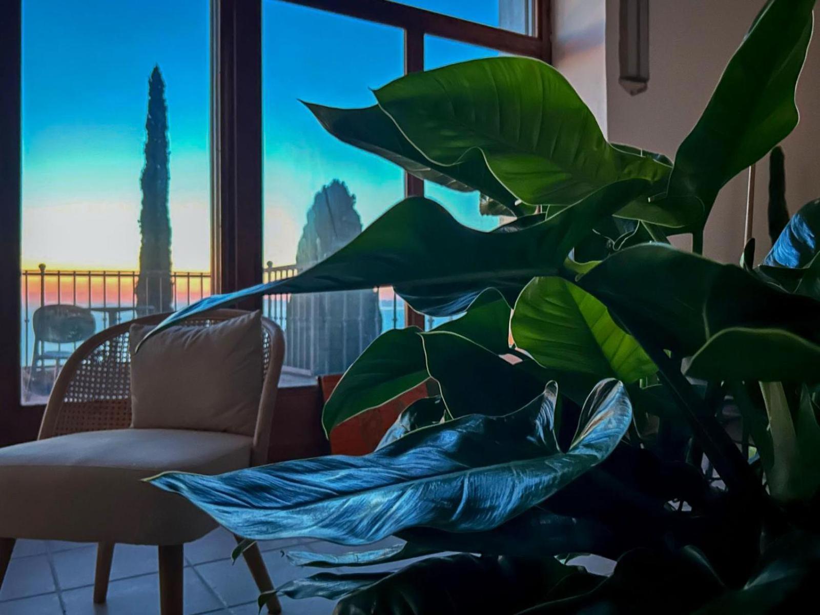 Villa Velta Sea Sunset Porto Santo Stefano  Extérieur photo